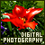 Digital Photography