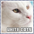 White Cat